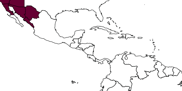 map of Polistes dorsalis  californicus   Bohart, 1949